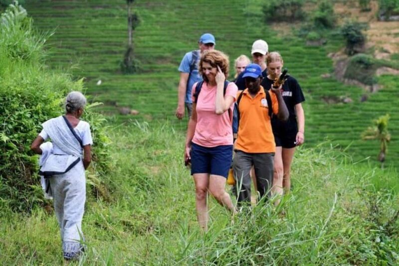 Kandy: Traditional Village Tour with Authentic Experience - FAQ