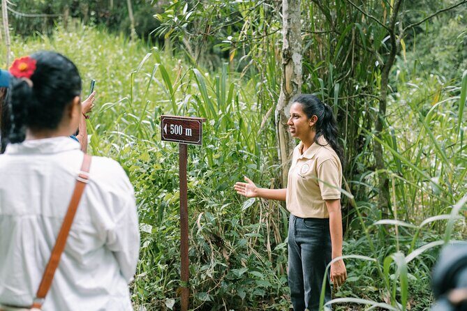 Kandy Yahalatenna Walking Coffee Class Activity - An In-Depth Look at the Kandy Yahalatenna Walking Coffee Class Activity