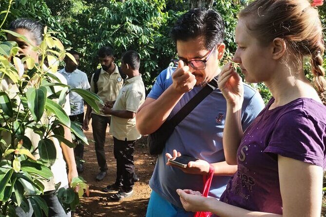 Kandy Yahalatenna Walking Coffee Class Activity - Plant Your Own Coffee Tree