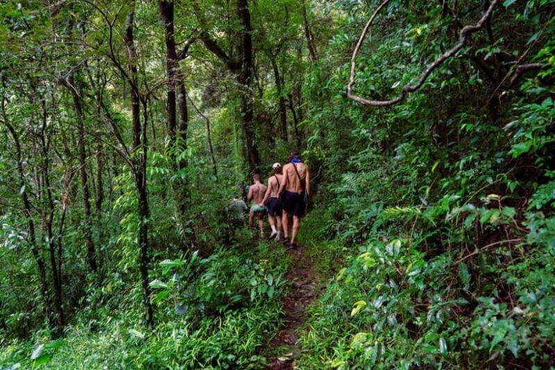 Kandy(Meemure): Knuckles Range Guided Small-Group Hike - Final Thoughts