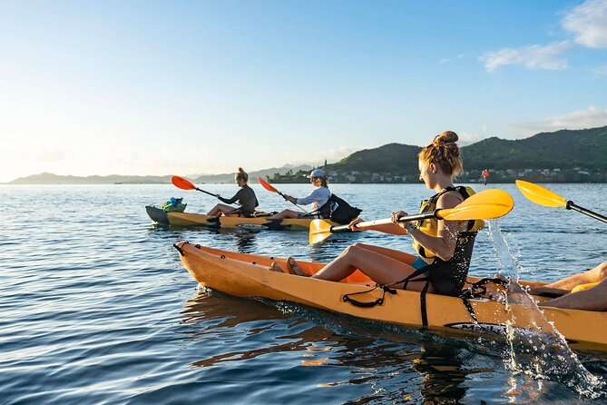 Kaneohe Bay Coral Reef Self-Guided Kayak Tour - Tour Overview and Logistics