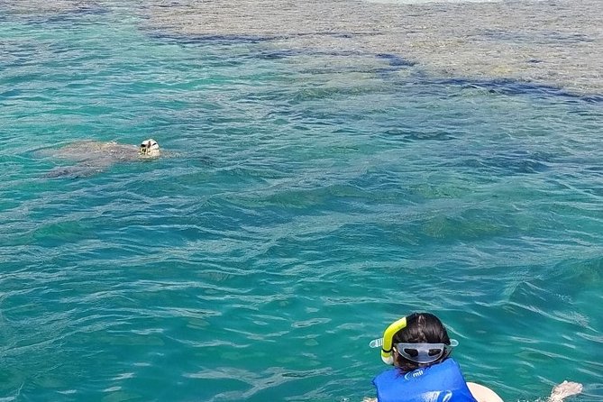 Kaneohe Bay Kayak Rental (Two-Person Kayak) - Common Questions