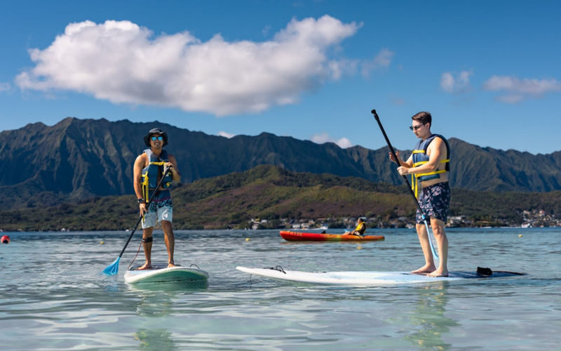 Kaneohe Bay Sandbar Adventure Half-Day Tour - Who is likely to enjoy this outing