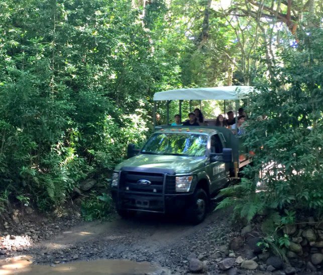 Kaneohe Hakipu u Rainforest Jungle Expedition - How bumpy is the ride?