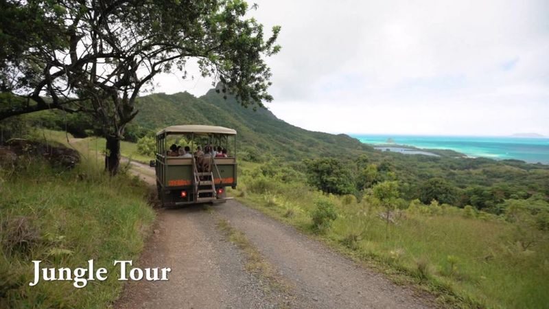 Kaneohe Hakipu u Rainforest Jungle Expedition - Is the price worth it?