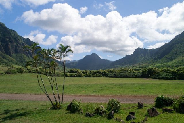 Kaneohe Hakipu u Rainforest Jungle Expedition - Who should book this expedition?