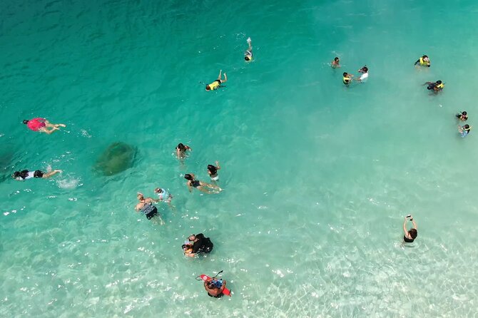 Kaneohe Sandbar Snorkeling Tour / 1st Tour - Turtles and Snorkeling