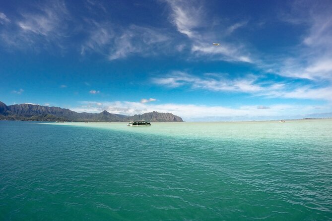 Kaneohe Sandbar Snorkeling Tour / 2nd Tour - Positive Customer Reviews