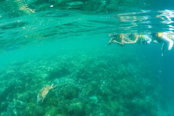 Kaneohe Sandbar Snorkeling Tour / 2nd Tour - The Sum Up