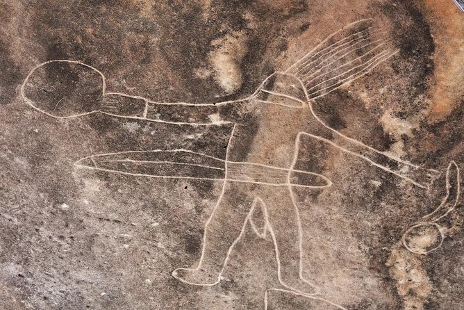 Kangaroo Encounter & Aboriginal Rock Arts Half-Day Trip From Sydney - Common Questions