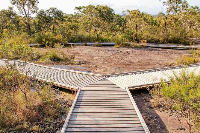 Kangaroo Encounter & Aboriginal Rock Arts Half-Day Trip From Sydney - The Sum Up