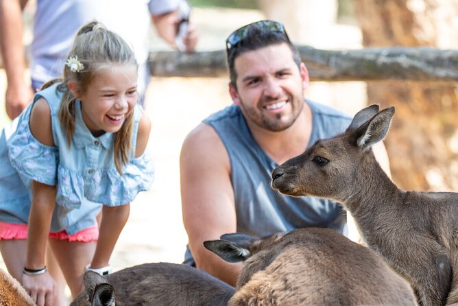 Kangaroo Experience at Healesville Sanctuary - Inclusions and Location