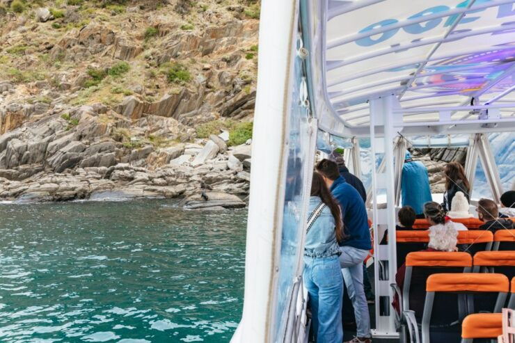 Kangaroo Island: 75-Minute Coastal Safari - Experience Highlights
