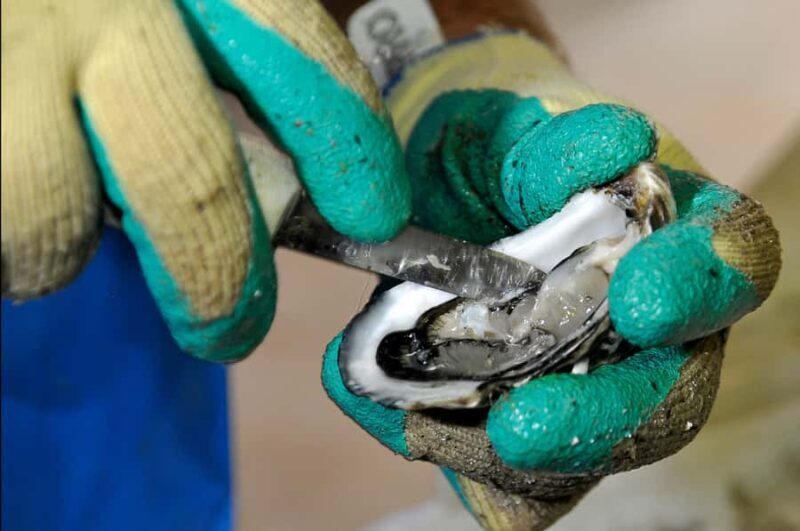 Kangaroo Island: Food and Wine Guided Day Tour - Exploring Kangaroo Island: Food and Wine Guided Day Tour