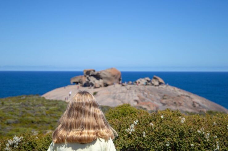 Kangaroo Island Full Day Experience by Ferry Including Lunch - Experience Highlights
