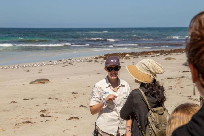 Kangaroo Island Full Day Experience by Ferry Including Lunch - Full Description