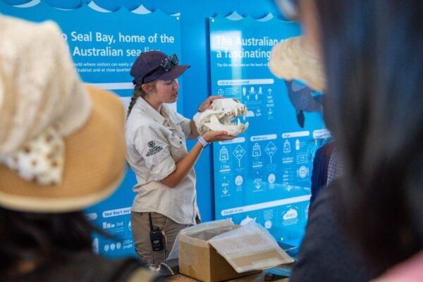 Kangaroo Island Full Day Experience by Ferry Including Lunch - Reservation and Payment Options