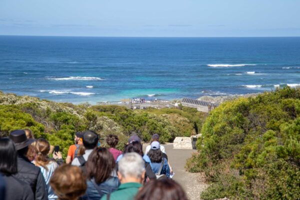 Kangaroo Island Full Day Experience by Ferry Including Lunch - Tour Itinerary