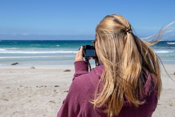 Kangaroo Island Full Day Experience by Ferry Including Lunch - Common Questions