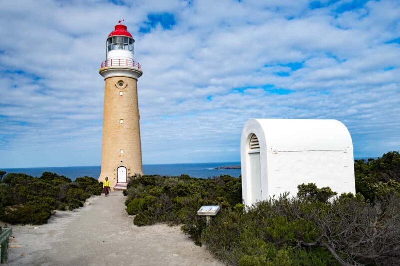Kangaroo Island: Full Day Guided Flinders Chase Focus Tour - FAQ