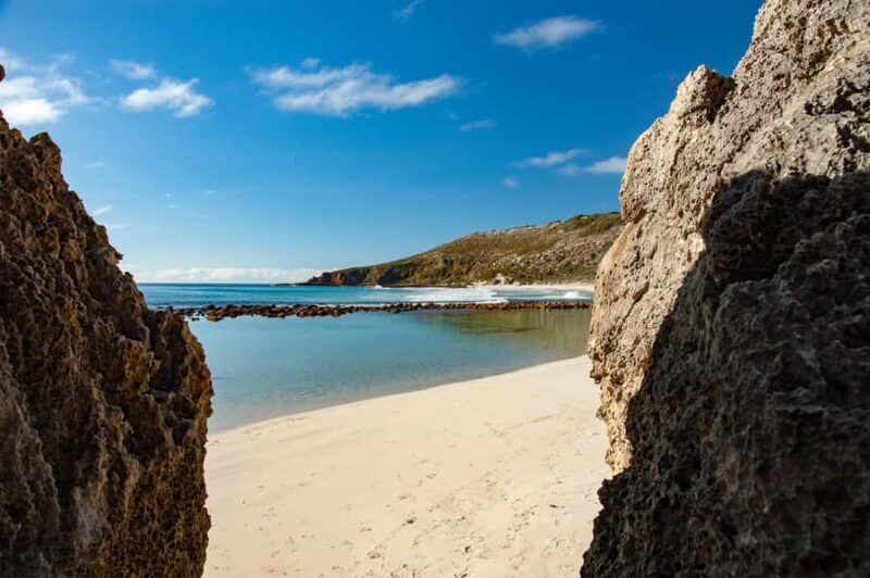 Kangaroo Island: Full-Day Guided Island Life Tour - Authentic Wildlife Encounters and Cultural Insights