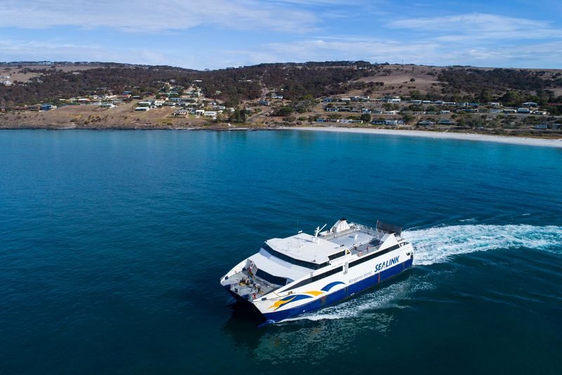 Kangaroo Island Guided Day Tour - Seal Bay: a guided walk beside a wild sea lion colony