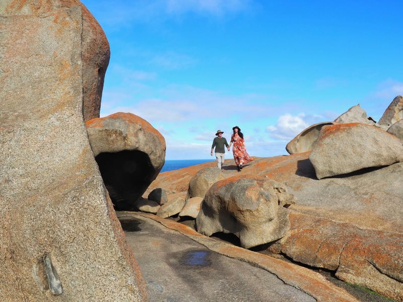 Kangaroo Island Guided Day Tour - Wildlife park visit: a final chance to meet native animals