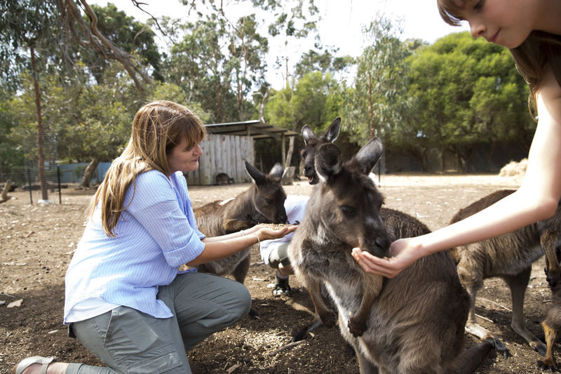 Kangaroo Island Guided Day Tour - What the price includes, and where value comes from