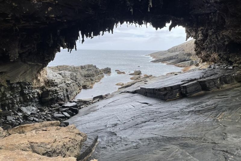 Kangaroo Island Guided Day Tour - Is this Kangaroo Island day tour right for you?