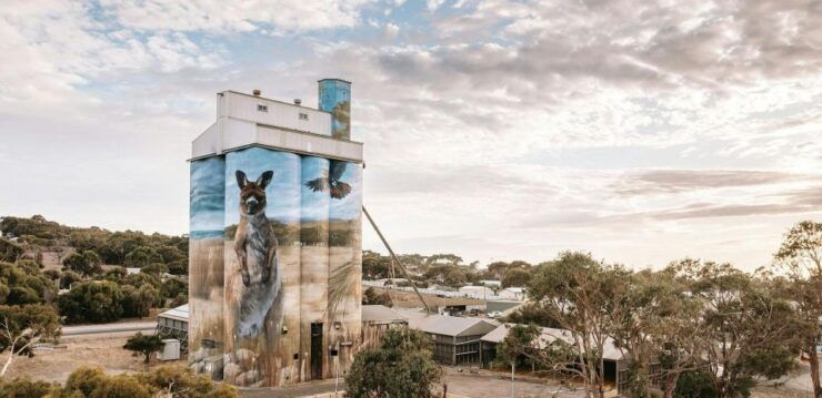 Kangaroo Island: Half-Day Tour Guided Coach Tour - Highlights