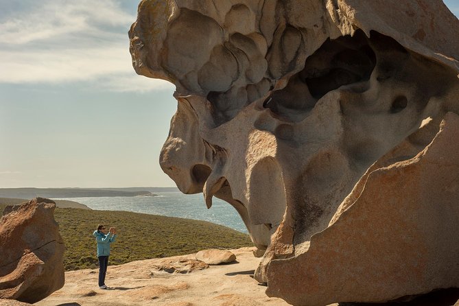 Kangaroo Island in a Day Tour From Adelaide - What to Expect on the Day Tour