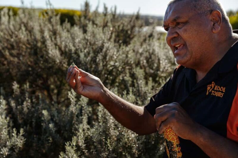 Kangaroo Island: Indigenous Day Tour - Scenic Highlights & Landmarks