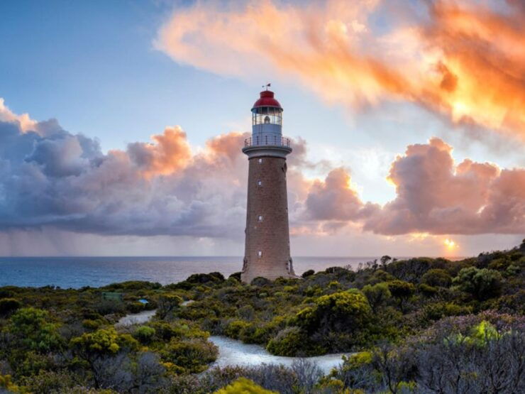 Kangaroo Island Lighthouse, Kangaroos and Wine Tasting - Booking Policies and Logistics