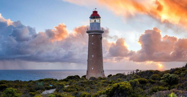 Kangaroo Island Lighthouse, Kangaroos and Wine Tasting - Experience Highlights and Inclusions