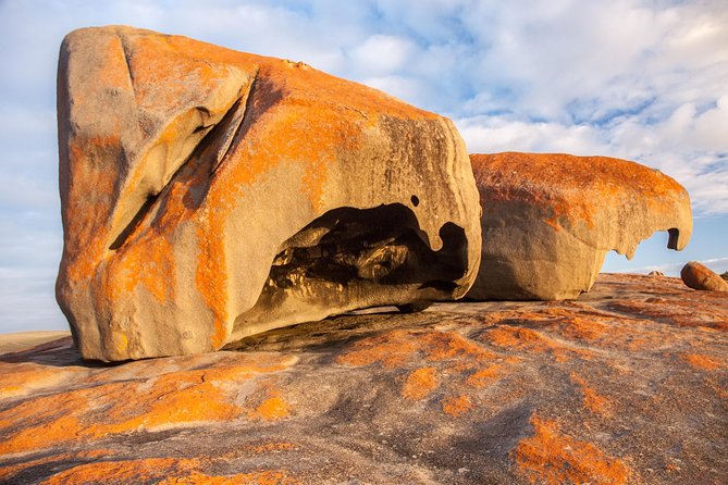Kangaroo Island Luxury Small Group Flinders Chase Focus Full Day Tour - Positive Reviews of the Tour