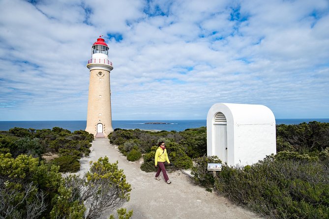 Kangaroo Island Luxury Small Group Flinders Chase Focus Full Day Tour - Tips for a Memorable Tour Experience