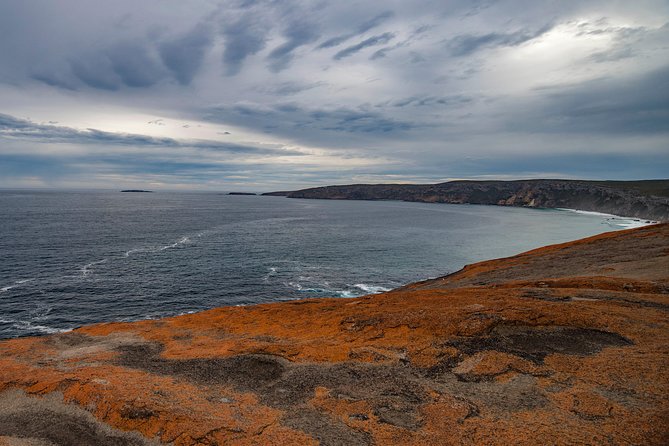 Kangaroo Island Luxury Small Group Flinders Chase Focus Full Day Tour - Common Questions