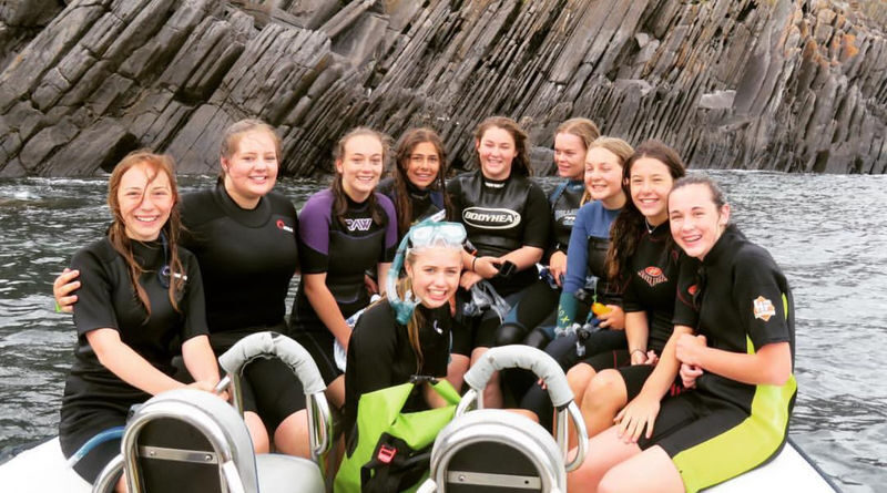 Kangaroo Island Ocean Safari and Snorkeling Experience in Adelaide - What Wildlife Encounters Can Really Mean