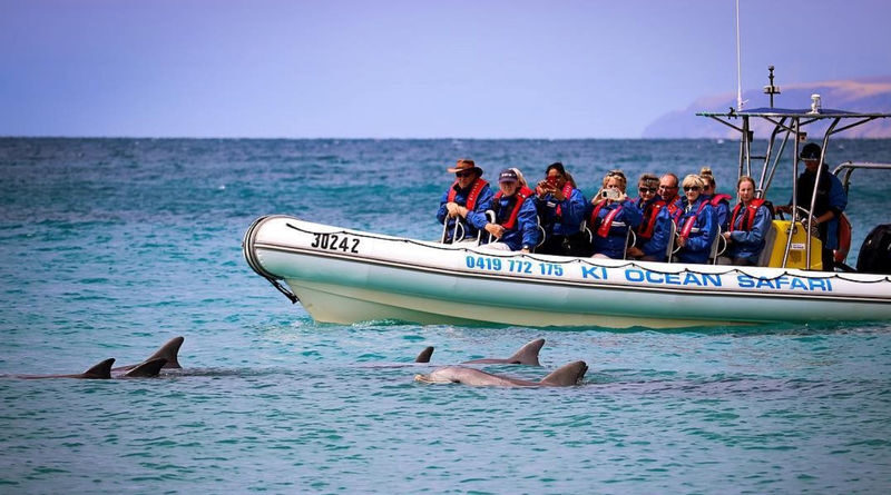 Kangaroo Island Ocean Safari Experience in Adelaide - The small boat and crew make a difference