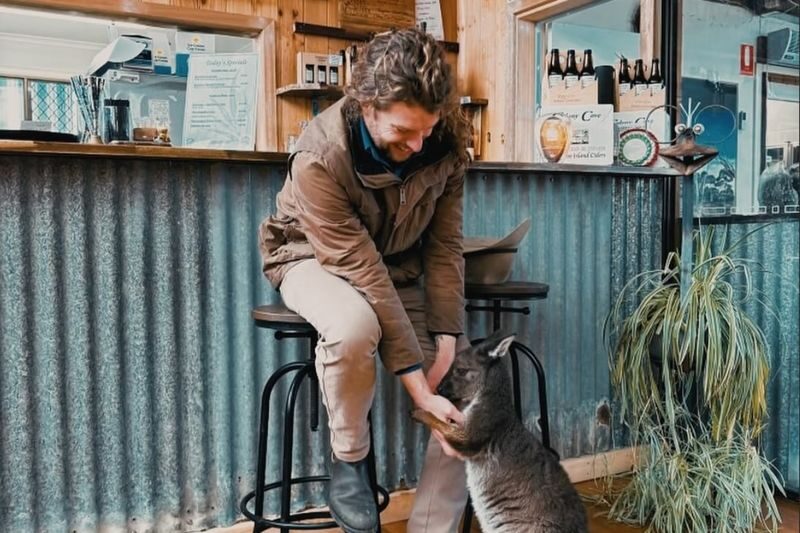 Kangaroo Island Scenic Nature and Wildlife Day Tour - A full day among Kangaroo Island’s wild places