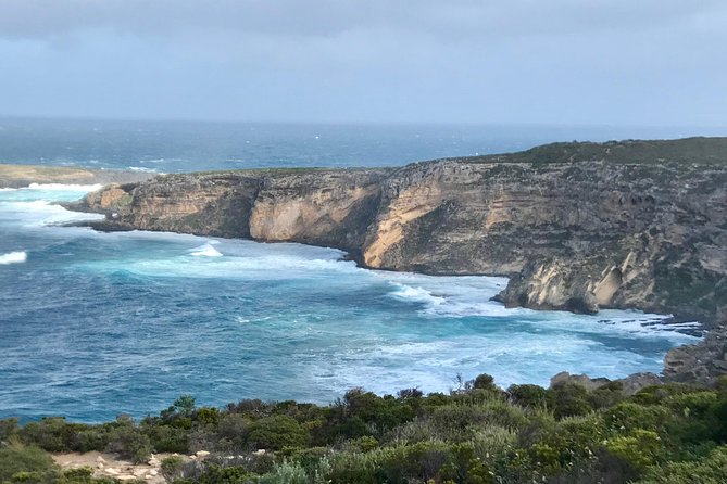 Kangaroo Island Scenic Nature and Wildlife Day Tour - Private Tours and Exclusive Experiences