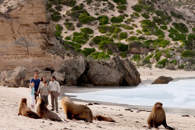 Kangaroo Island Scenic Nature and Wildlife Day Tour - Common Questions