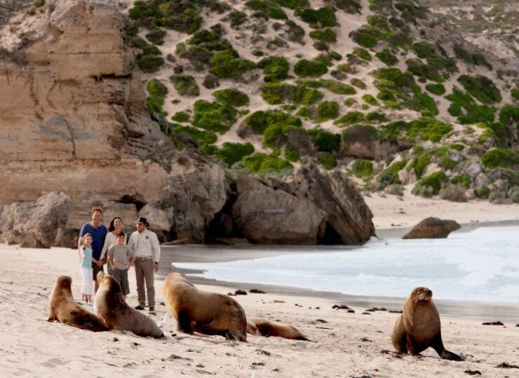 Kangaroo Island: Scenic, Nature & Wildlife Tour - Overview
