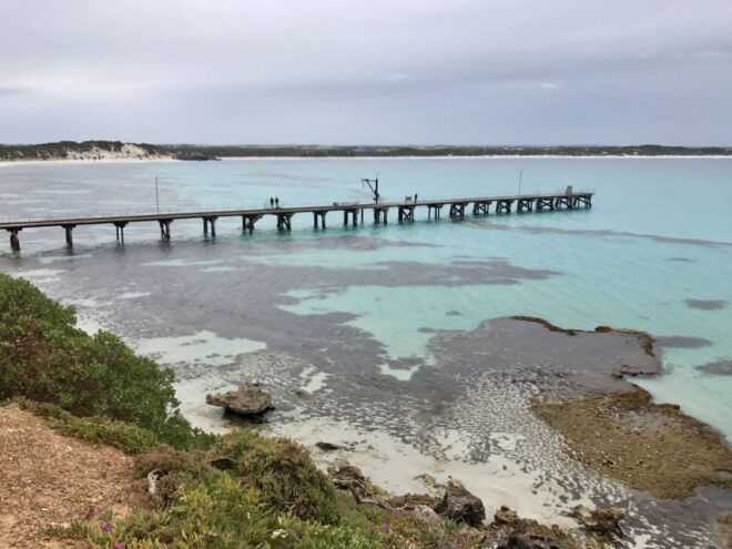 Kangaroo Island: Scenic, Nature & Wildlife Tour - Abundance of Wildlife