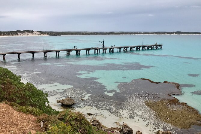 Kangaroo Island Shore Excursion Scenic Trail Tour - Knowledgeable Guides and Tour Organization