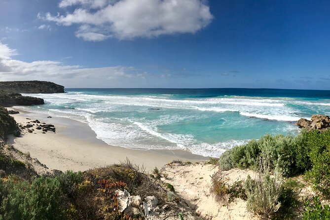 Kangaroo Island Shore Excursion Scenic Trail Tour - Common Questions