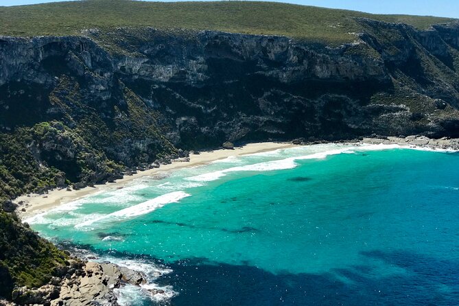 Kangaroo Island Shore Excursion Scenic Trail Tour - The Sum Up