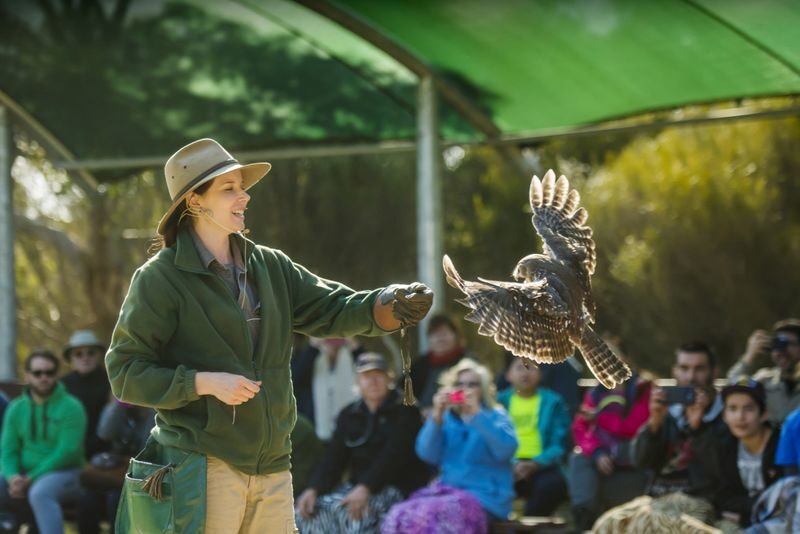 Kangaroo Island Sip & See Day Tour - Pennington Bay’s south-coast pause