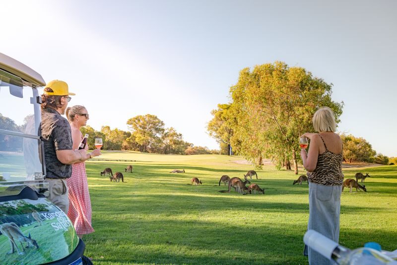 Kangaroo Safari & Mini-Golf in the Swan Valley - Getting to The Vines from Perth
