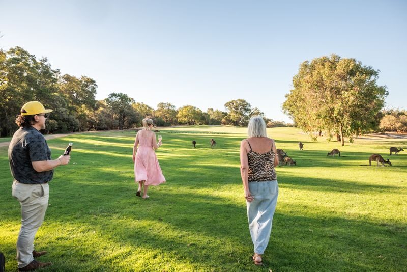 Kangaroo Safari & Mini-Golf in the Swan Valley - What to wear and bring